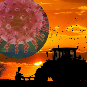 Design sem nome 300x300 - Coronavírus: medidas para proteção do agronegócio em meio a pandemia