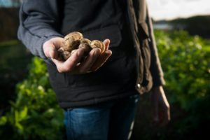 produtor rural quarentena