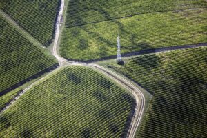 baranya 1982708 1920 300x200 - DESCUBRA OS BENEFÍCIOS DO CADASTRO AMBIENTAL RURAL