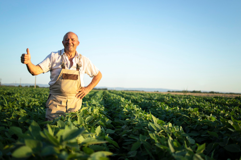 portrait of senior hardworking farmer agronomist in soybean field holding thumbs up checking crops before harvest - Blog